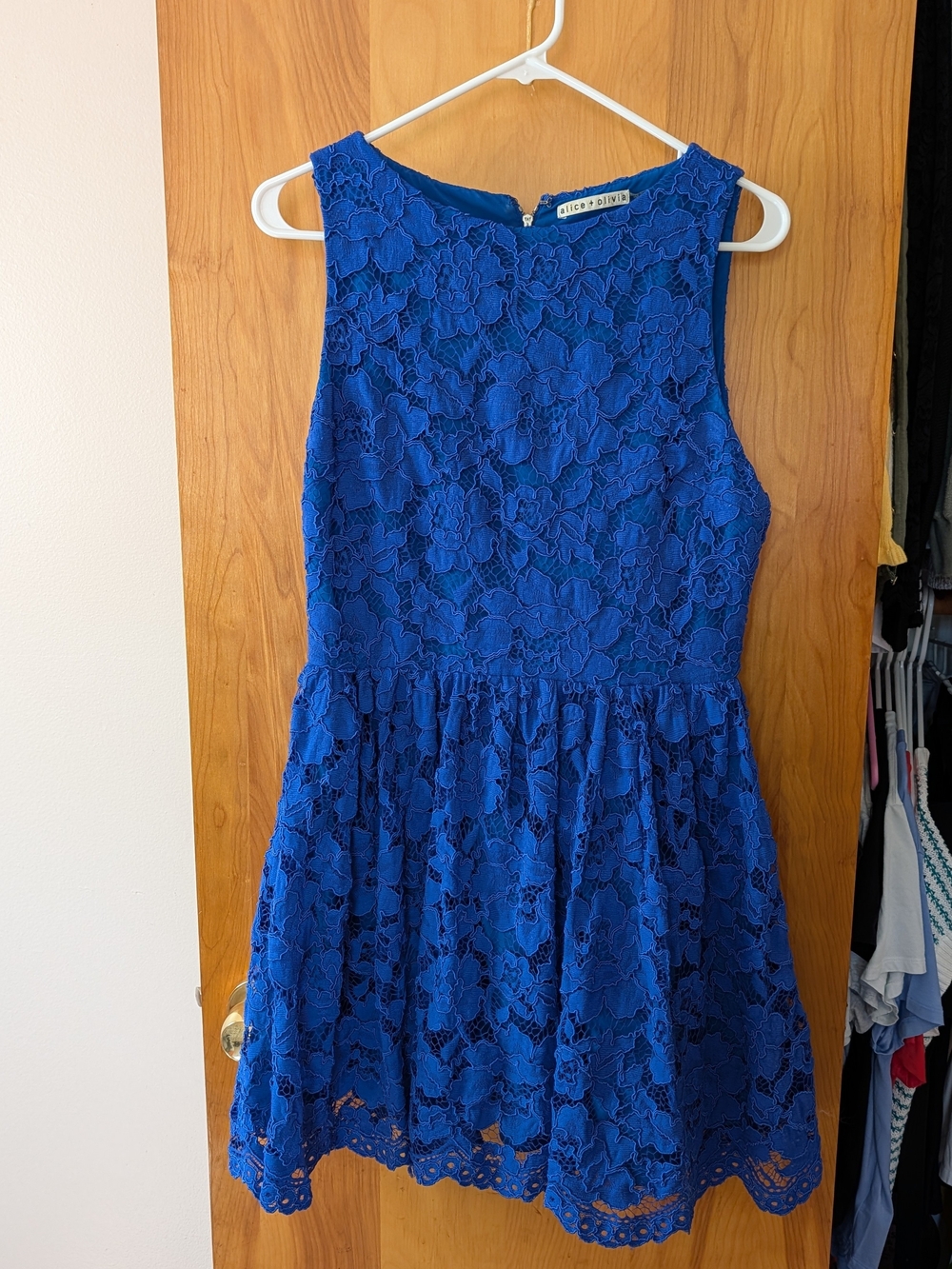 Alice + Olivia Royal Blue Lace Fit-and-Flare Mini Dress